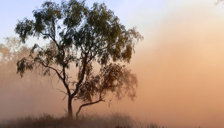 renault broadway tasarimi sik ve modern bir sehir otomobili